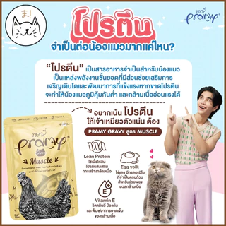 KUMAま Pramy พรามี่ อาหารเปียกแมว สูตรลูกแมว แมวโต แมวสูงวัย ครบสูตร Human Grade 70g.