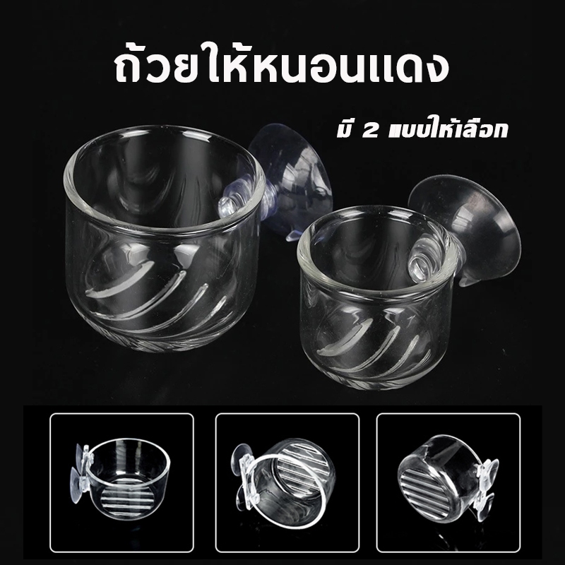 ถ้วยให้หนอนเเดง ไส้เดือนน้ำ ถ้วยใส่อาหารปลา กรวยที่ใส่อาหารสดสำหรับน้องปลา อุปกรณ์เลี้ยงปลา ราคา ถูกที่สุด ดีลบีเคเค