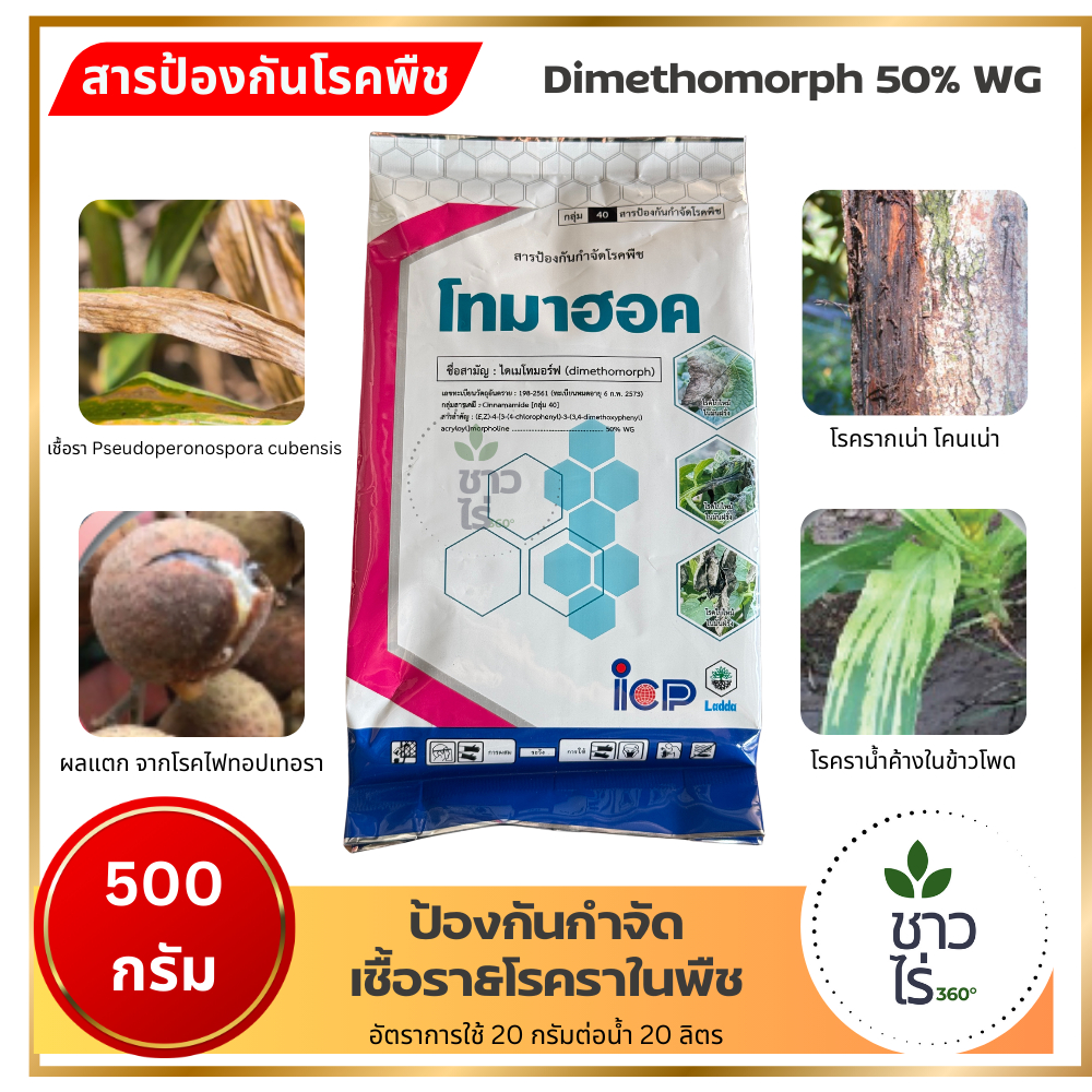 โทมาฮอค 500 กรัม Dimethomorph 50% WG เม็ด ใช้ง่าย ละลายน้ำดี โรคที่เกิดจากเชื้อรา Phytophthora palmivora  ไฟทอปธอรา