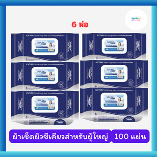 ผ้าเช็ดผิวสำหรับผู้ใหญ่ ทิชชู่เปียก ซีเคียว SEKURE Wipes / รุ่น 100 แผ่น (x6ห่อ)