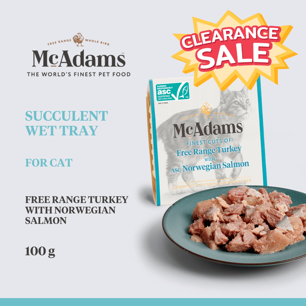 [CLEARANCE] McAdams Cat Succulent Wet Trays Turkey with Salmon 100g อาหารเปียกแมว สูตรไก่งวงกับแซลมอน BBD 13.04.25