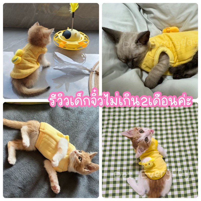 🔥ส่งฟรี 🇹🇭🔥เสื้อสัตว์เลี้ยงแรกเกิด ชุดลูกแมว สัตว์ขนาดเล็ก - รูปที่ 5
