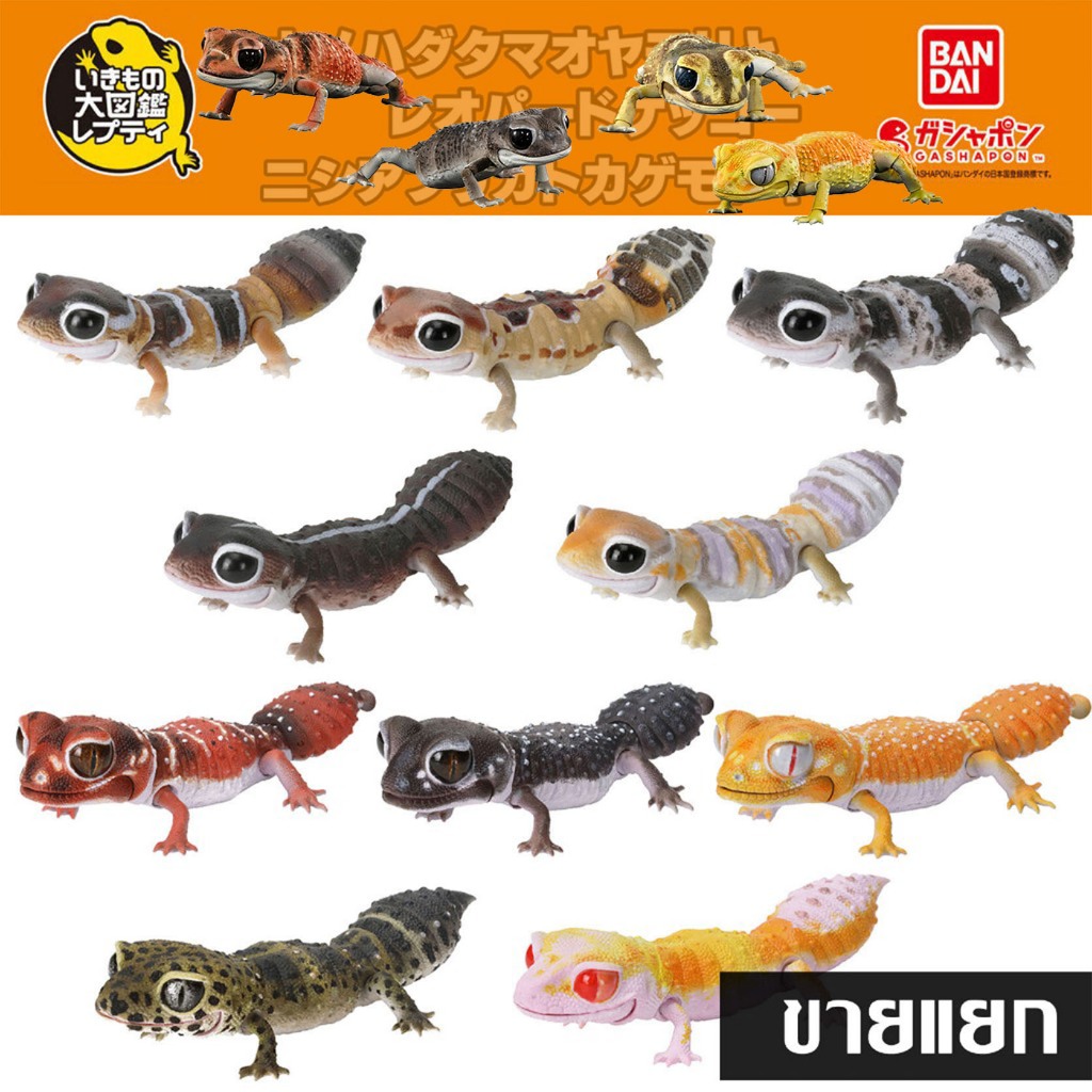 Bandai แยก Gashapon Ikimono Encyclopedia African Fat-Tailed Gecko SMOOTH KNOB-TAILED LEOPARD ตุ๊กแก กาชาปอง