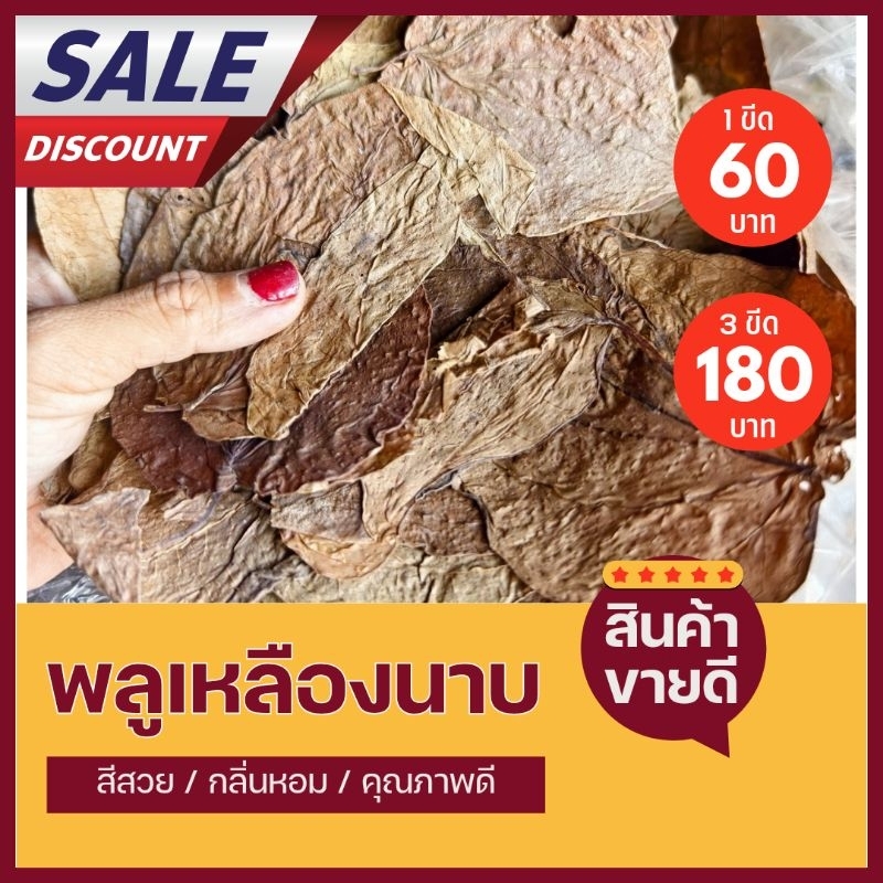 พลูนาบแห้งคละใบขีดละ60 บาท