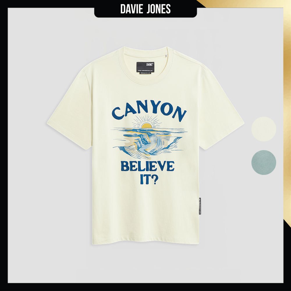 DAVIE JONES เสื้อยืด พิมพ์ลาย Graphic Regular Fit T-Shirt WA0239 สีครีม ฟ้าอมเทา