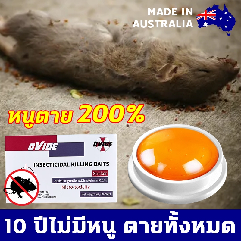 อัตราการฆ่าแมลง 100% ยาฆ่าหนู กําจัดหนู ยาดักหนู การกลายเป็นปูนช่วยกำจัดหนูและทำให้แห้งและไม่เหม็น