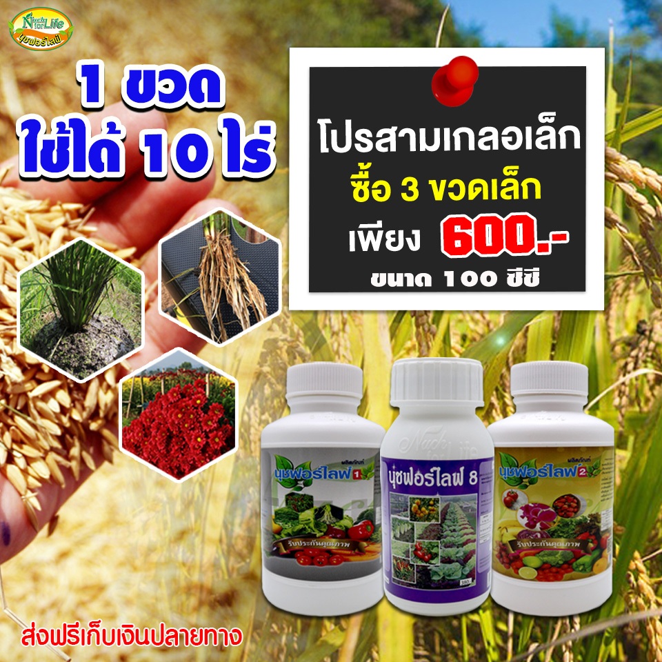 นุชฟอร์ไลฟ์ 1+2+8 ขนาด 100cc/อาหารเสริมพืช/ปุ๋ยน้ำ/ฮอร์โมน อาหารเสริมพืชทางใบ