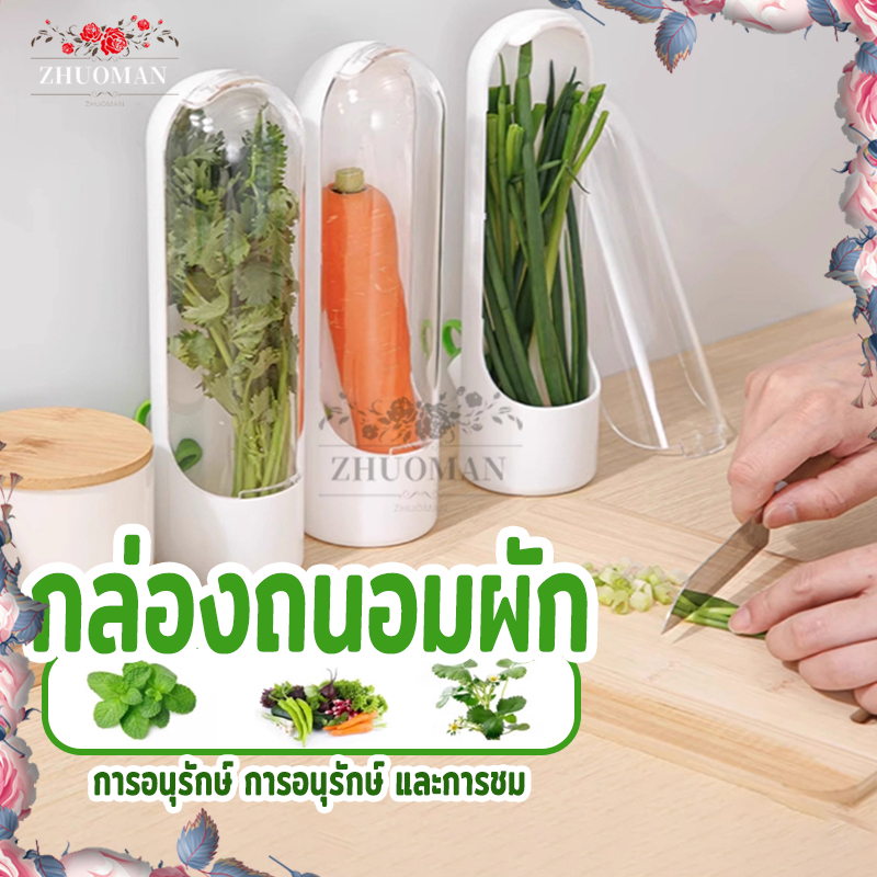 ถ้วยเก็บผักสด กล่องถนอมผัก ทรงกระบอก ประหยัดพื้นที่ ช่วยถนอมให้ผักสดนานกว่าเดิม ไม่ทำให้ผักช้ำ