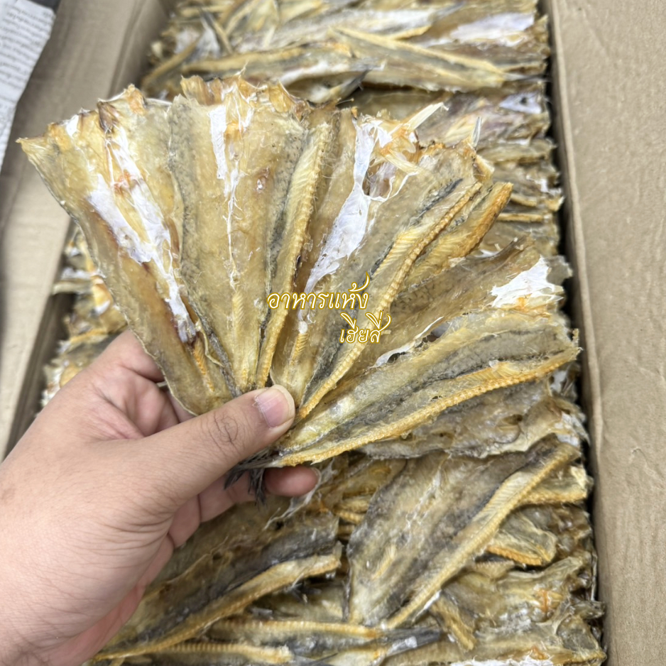 4seafood ปลาแห้ง ปลาช่อนทะเลเล็ก ปลาจิ๊กโก๋ ไม่เค็มมาก ทำสดใหม่ แห้งมาก ขายถูก ขนาด 500 กรัม
