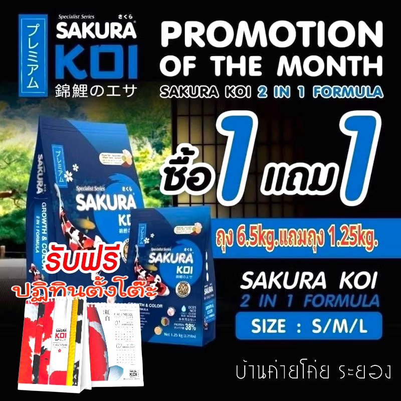 แถมปฏิทิน.. Sakura koi โปร 1 แถม 1 ด่วน ลดทันที 70฿. ซากุระ เร่งโต&เร่งสี 2in1 ถุง 6.5 กก. อาหารใหม่ Exp.2026