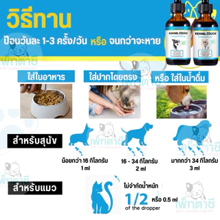 Oimmal Kennel Cough วิตามินสำหรับสุนัข แมว บำรุงการหายใจ หลอดลมตีบ ไอ จาม เสมหะ
