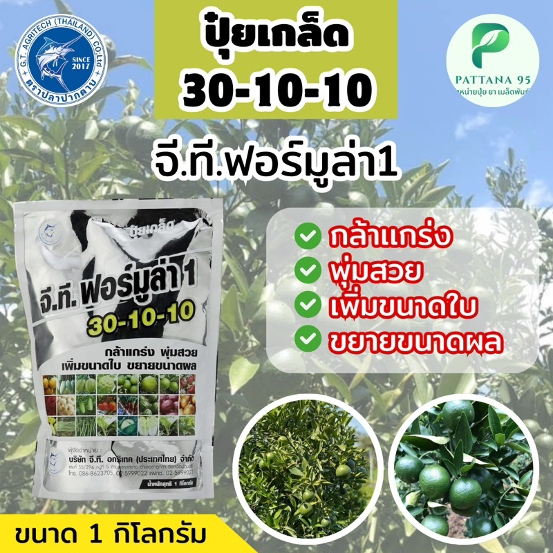 ปุ๋ยเกล็ด จี.ที.ฟอร์มูล่า1 สูตร 30-10-10 *ขนาด 1 กิโลกรัม กล้าแกร่ง พุ่มสวย เพิ่มขนาดใบ ขยายขนาดผล