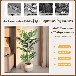 🏡ต้นไม้ปลอม🌿ต้นไม้พลาสติก (ฟรี กระถางดอกไม้) ต้นไม้ปลอมใหญ่ ต้นไม้มงคล ต้นไม้ประดิษฐ์