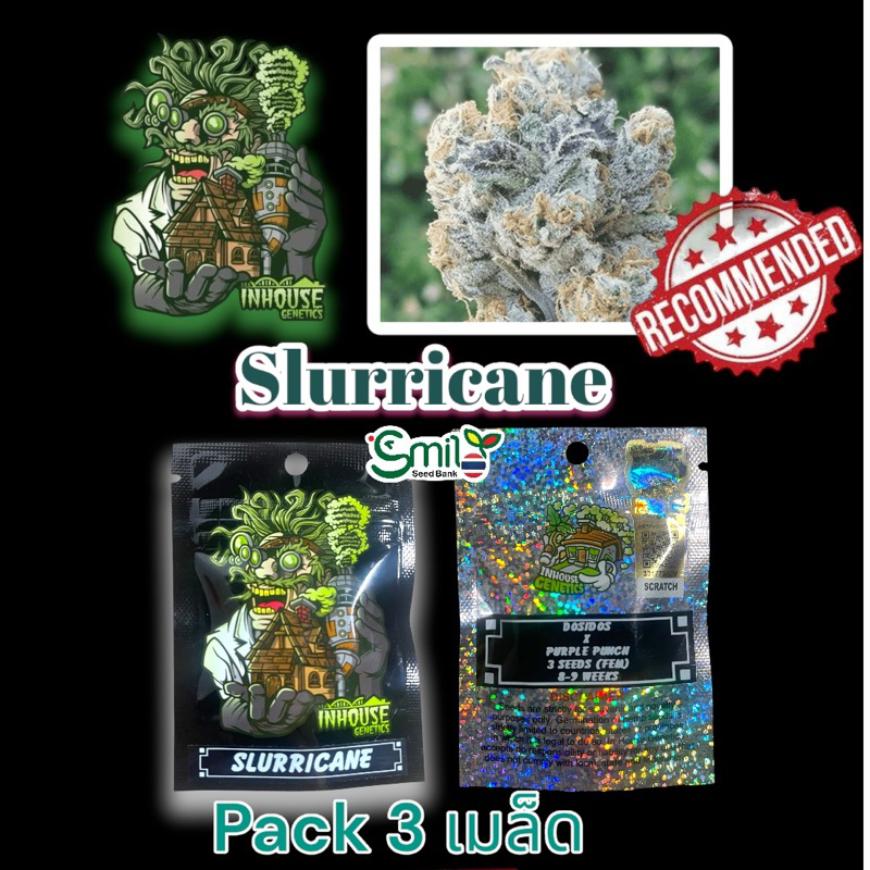 เมล็ดกัญชา Slurricane (Fem) ของมันต้องมี* - In House Genetics