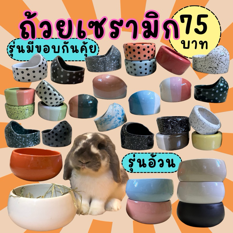 *งานใหม่เข้าแล้ว**ถ้วยเซรามิก(ขนาดใหญ่)ถ้วยอาหารกระต่ายและสัตว์ฟันแทะ