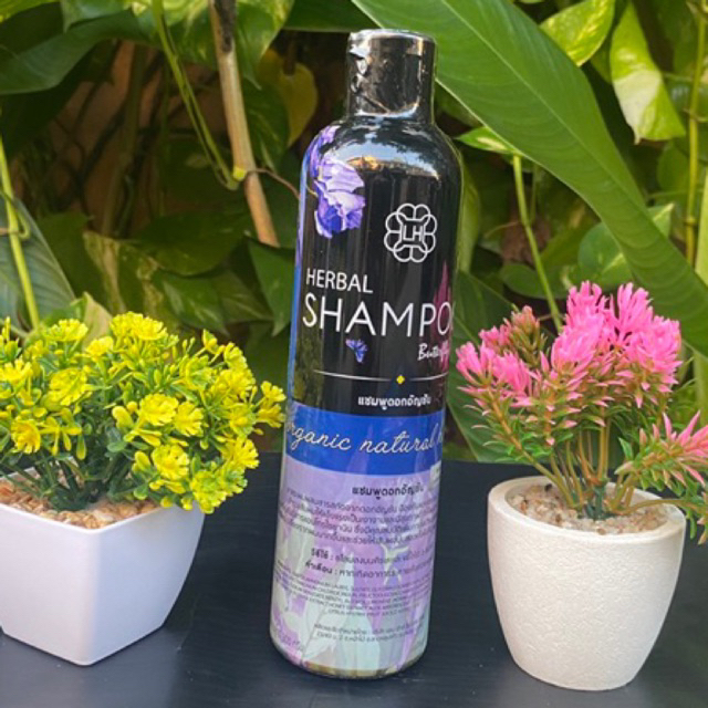 แชมพูอัญชันแท้1ขวด ปริมาณ300ml - รูปที่ 5