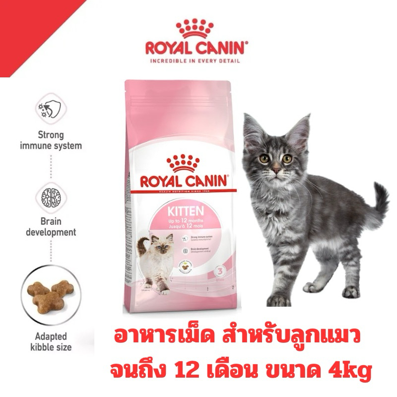 [ถุง4KGคุ้มๆ] Royal Canin อาหารแมว สูตรลูกแมว KITTEN ขนาด 4kg.