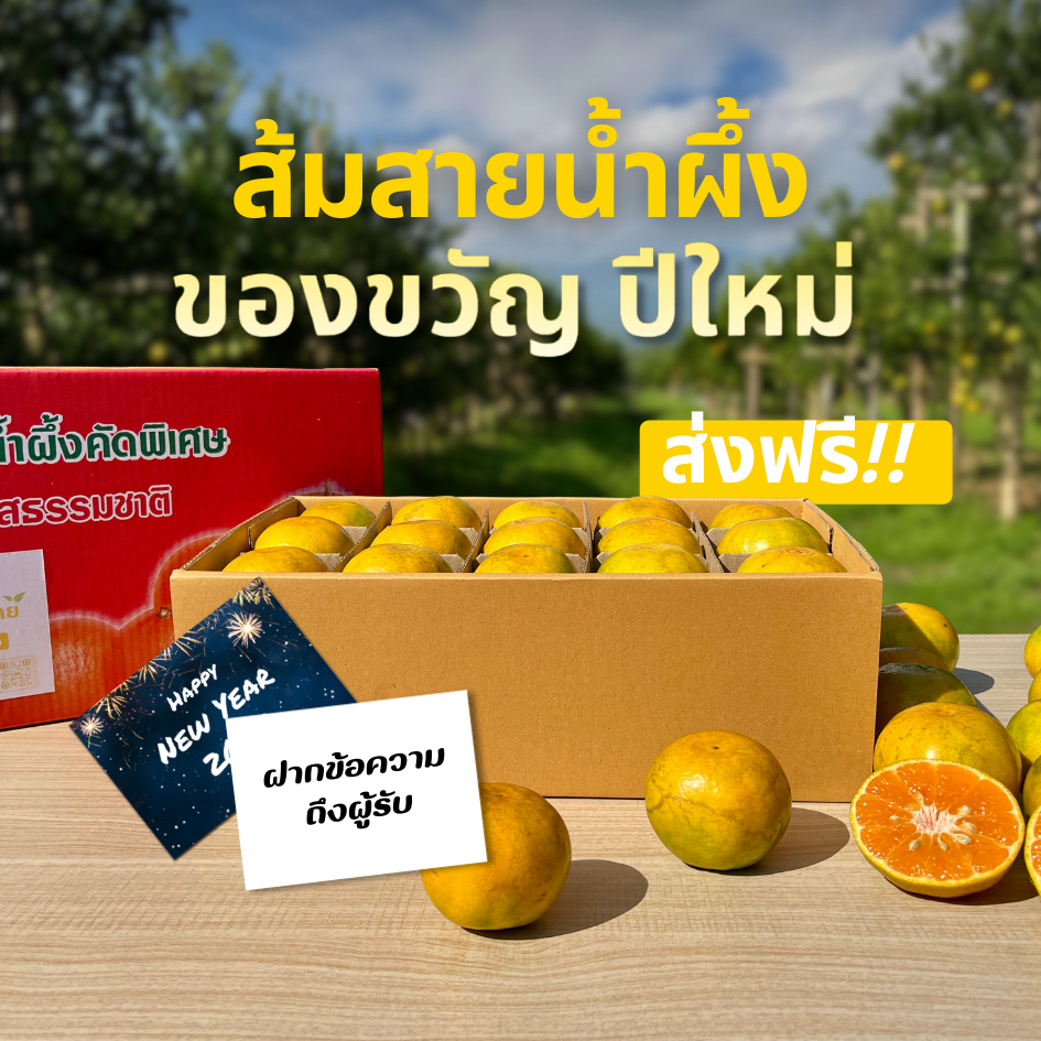 ส้มสายน้ำผึ้ง อ.ฝาง คัดพิเศษ ของขวัญปีใหม่ แถมการ์ดปีใหม่ ส่งตรงจากสวน [ส่งฟรี!]