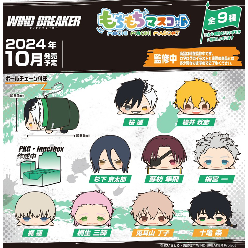 🎄พร้อมส่ง mochi mascot wind breaker | โมจิ วินด์เบรกเกอร์ | นักเลงลม ✖️ไม่มีกล่อง