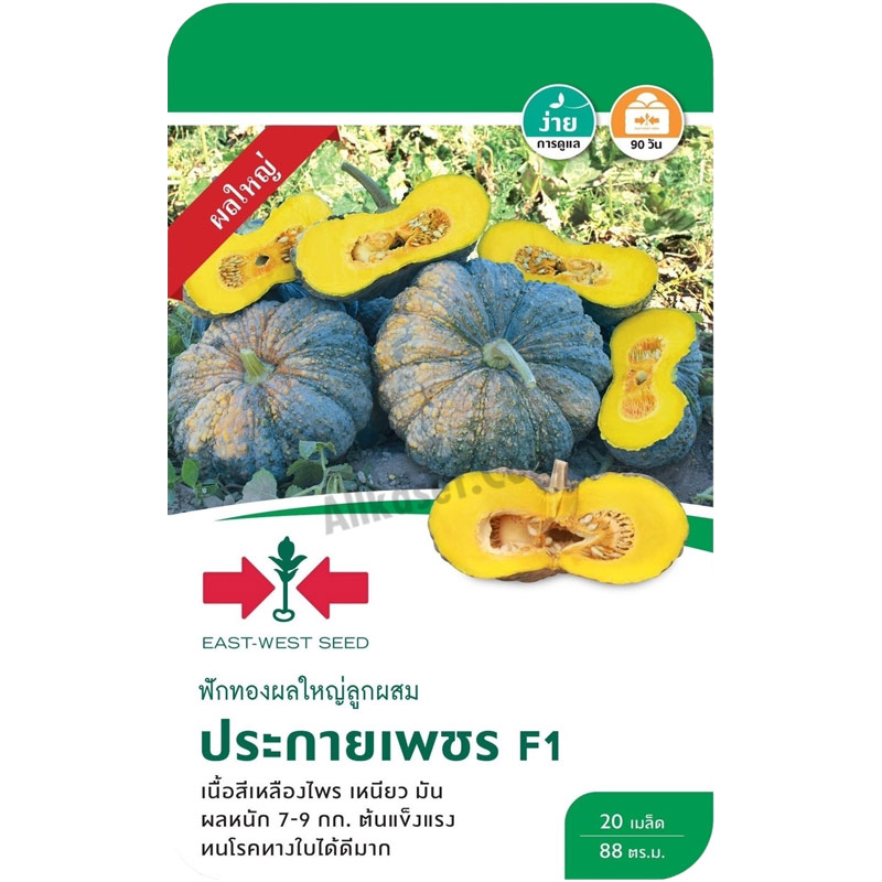 เมล็ดพันธุ์ ฟักทองผลใหญ่ลูกผสม ประกายเพชร ตราศรแดง