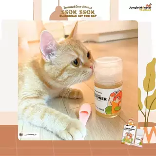[Junglemonster] Blackhead Kit For Cat โทนเนอร์รักษาสิวสำหรับแมว สิวอุดตัน สิวหัวดำ ทำความสะอาดใต้คาง