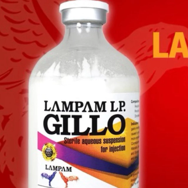 ลำปำ…อาหารสัตว์ปีกLP.Gillo