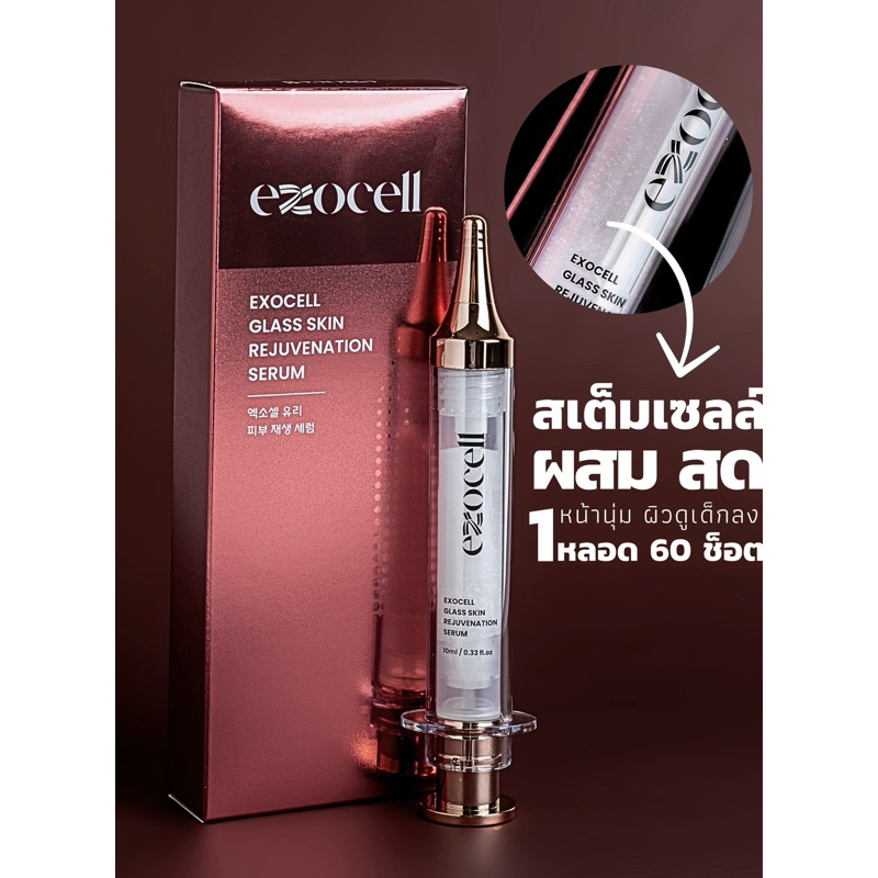 Exocell ครีม ช็อต สเต็มเซลล์สด glass skin rejuvenation rerum [ cream ]