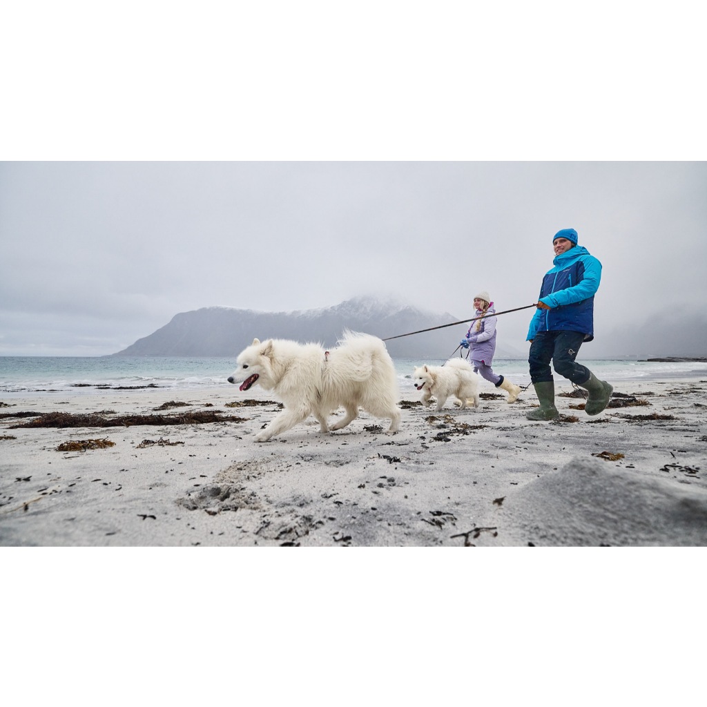 Non-stop dogwear Trail Quest Leash Rachel Pohl Edition สายจูงสุนัข รุ่นราเชล พอล - รูปที่ 2