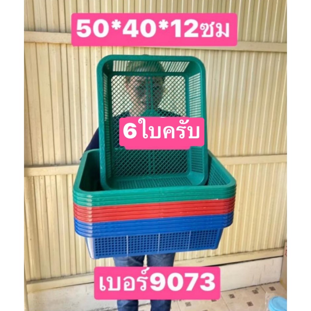 6ใบครับ ตะแกรง ตะกร้าพลาสติก  มอก.ผลิตไทย ถาดเพาะถั่วงอก