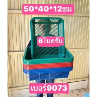 6ใบครับ ตะแกรง ตะกร้าพลาสติก มอก.ผลิตไทย ถาดเพาะถั่วงอก