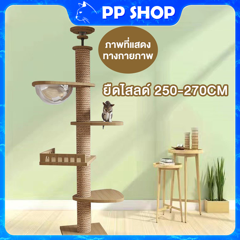 คอนโดแมว คอนโดแมวไม้ คอนโดแมวสูง มีโดมส่องดวง มีจุดขัดเล็บ มีช่องเล่นหลายชั้น