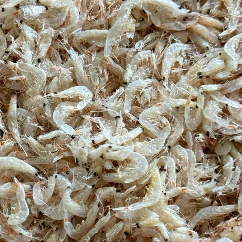 กุ้งฝอยขาว กุ้งฝอยไม่ใส่สี 1 กิโลกรัม เคยขาว  กุ้งฝอยขาว เค็มน้อย สะอาด (ไซส์เล็ก)