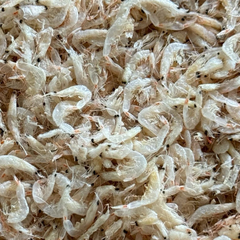 กุ้งฝอยขาว กุ้งฝอยไม่ใส่สี 1 กิโลกรัม เคยขาว กุ้งฝอยขาว เค็มน้อย สะอาด (ไซส์เล็ก)