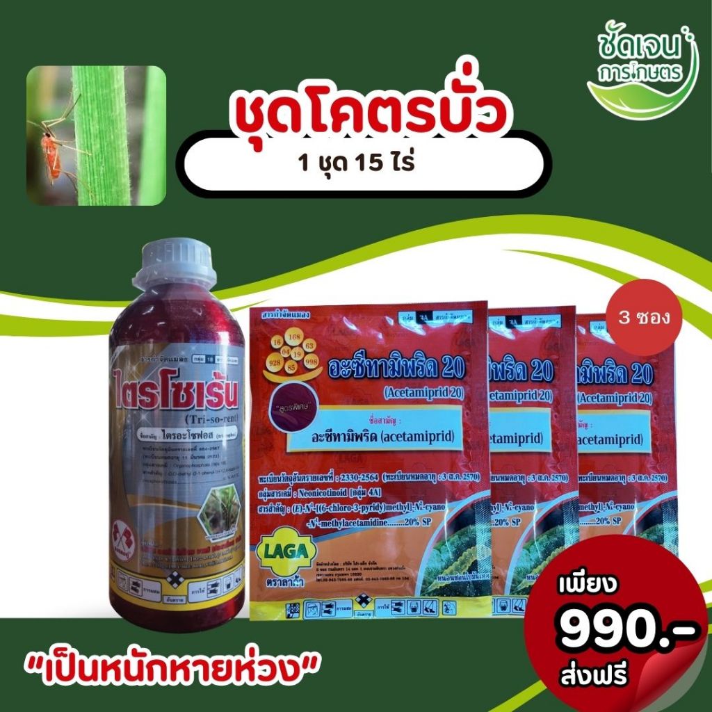 ชุดโคตรบั่ว ปราบบั่วอยู่หมัดในครั่งเดียว