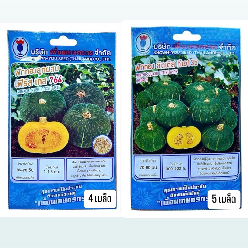 ฟักทอง ฟักทองญี่ปุ่น เฟิร์ส 4 เมล็ด,ลิตเติล 5 เมล็ด