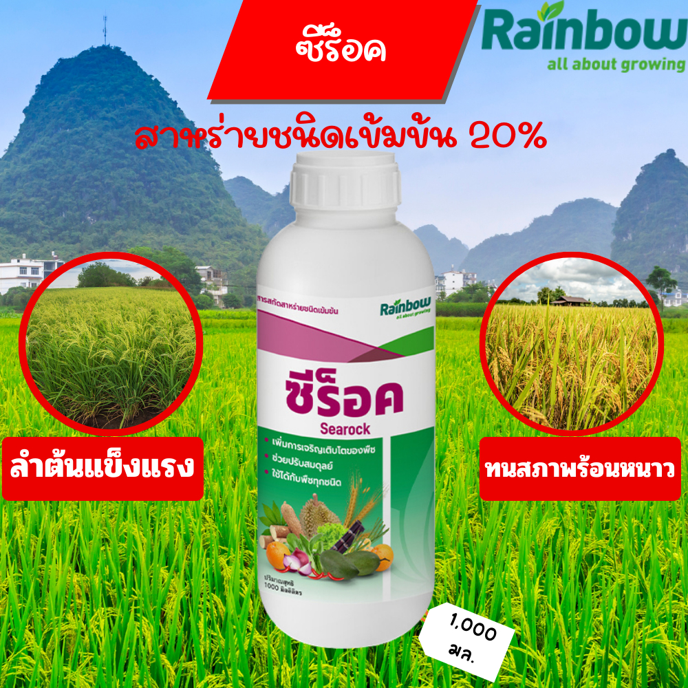 สาหร่ายชนิดเข้มข้น 20% (ซีร็อค) ฉีดพ่น 10-15 ไร่ ขนาด 1 ลิตร
