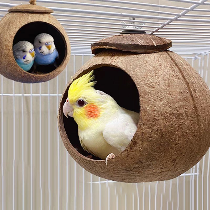 บ้านนก บ้านกะลามะพร้าวสัตว์เลี้ยง กะลาชูการ์ กะลากระรอก ยึดด้านบนของกรง เหมาะสำหรับ นกแก้วขนาดเล็ก ชูการ์ไรเดอร์ กระรอก