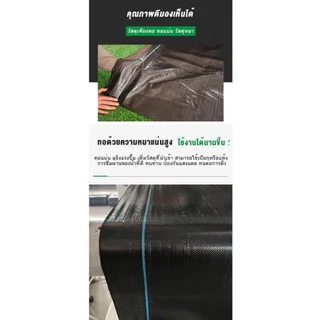พลาสติกคลุมดิน ผ้าคลุมหญ้า กำจัดวัชพืช ผ้าคลุมวัชพืช พลาสติกเกรดส่งออก ผสมUV ฆ่าหญ้า เห็นผลไวถายใน กลูโฟซิเนต แอมโมเนีย