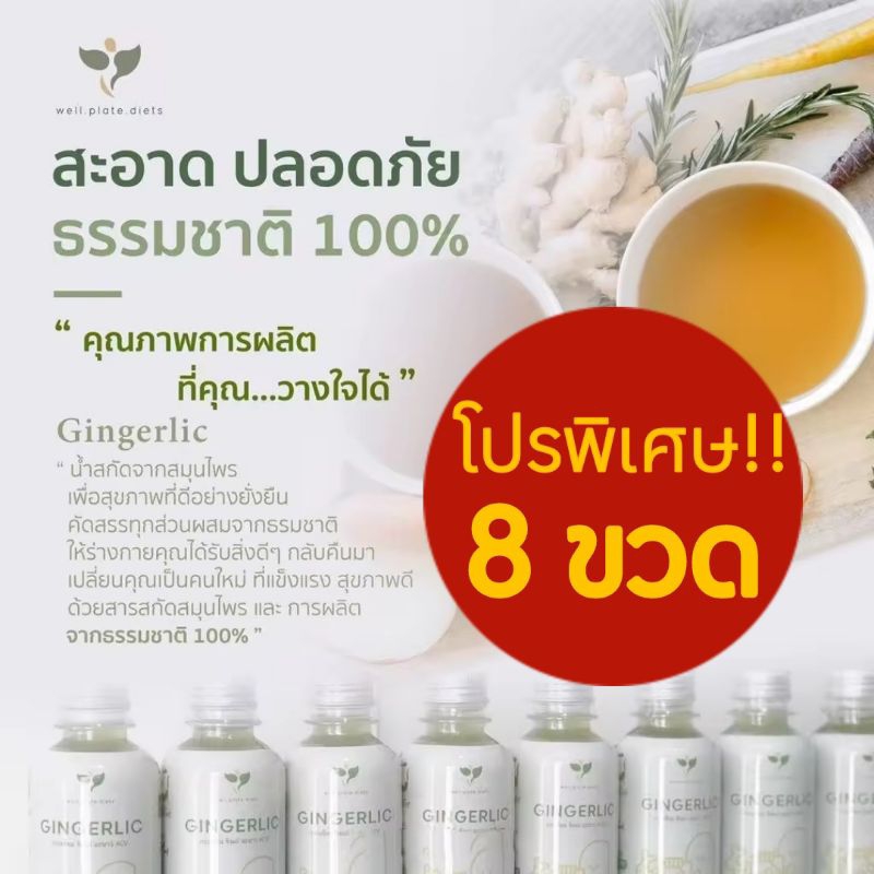 (โปร 8 ขวด) GINGERLIC น้ำกระเทียมสกัดเข้มข้น น้ำสมุนไพรสกัดเย็น กระเทียม ขิง มะนาว น้ำแอปเปิ้ลไซเดอร