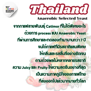 Doi Chang Anaerobic Selected Yeast By 93 Degree Coffee