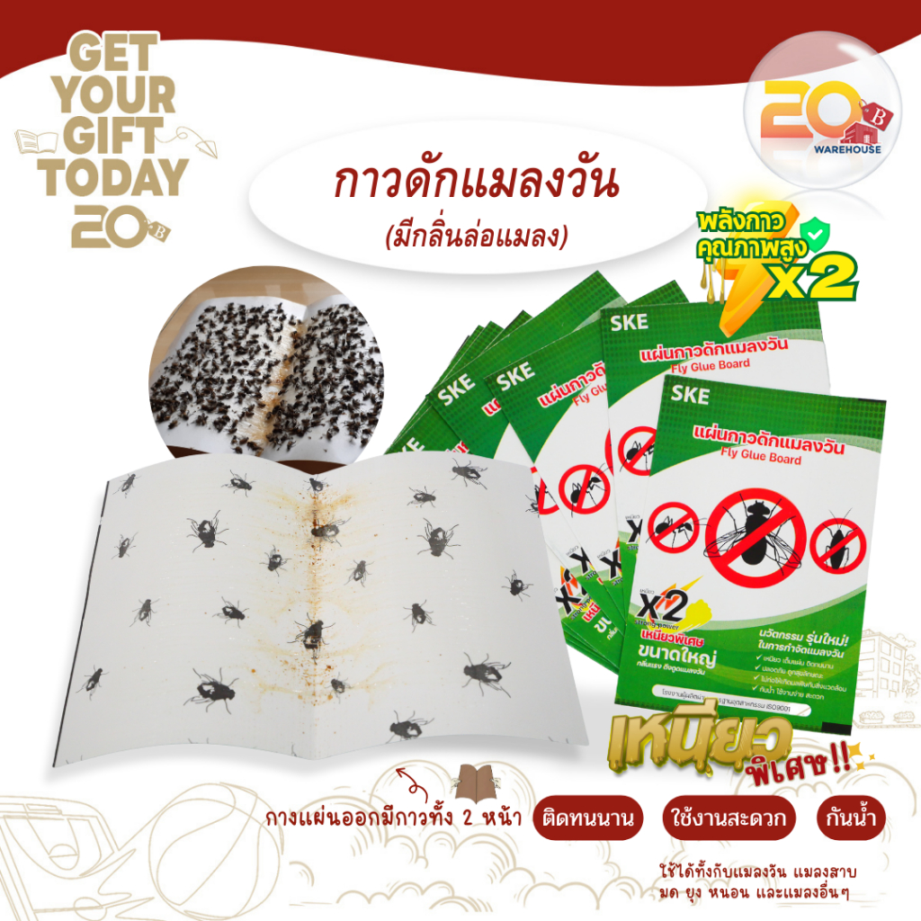 20warehouse กาวดักแมลงวัน ของแท้ 100% แผ่นกาวดักแมลงรุ่นใหม่ พลังกาวคุณภาพ X2 กาว ดักแมลง
