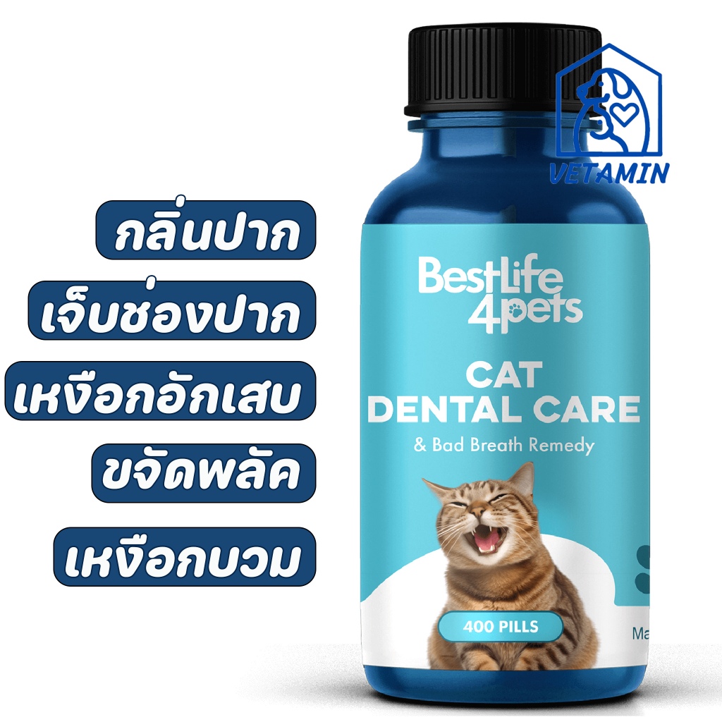 [ 20 เม็ด ส่งฟรี ] พร้อมส่ง วิตามินสำหรับแมว เจ็บปาก เหงือกอักเสบ ปวดฟัน แผลในช่องปาก Exp.12/27