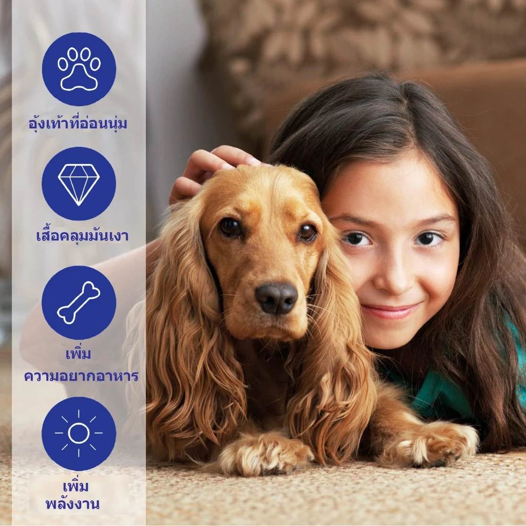 Popoo Omega 3 Wild Fish Oil for Dogs and Cats Supplement พรีเมี่ยมน้ำมันปลาสำหรับสัตว์เลี้ยง บำรุงขน ผิวหนังและข้อต่อ thumbnail 6