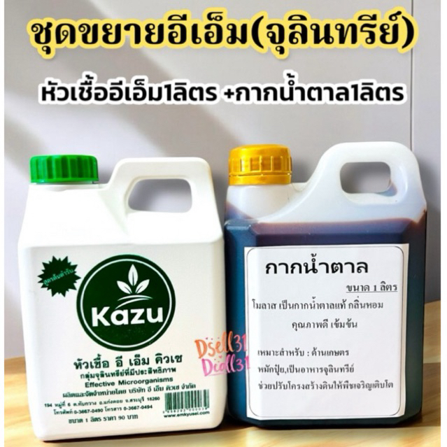 จุลินทรีย์ใส่ส้วม จุลินทรีย์ดับกลิ่น จุลินทรีย์ บำบัดน้ำ คิวเซ กากน้ำตาล น้ำหมัก  EM คิวเซ+กากน้ำตาล