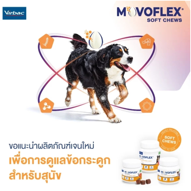 ถูกที่สุด! Movoflex อาหารเสริมบำรุงข้อและกระดูก แบบเม็ดเคี้ยว ทานง่าย สำหรับสุนัข - รูปที่ 2