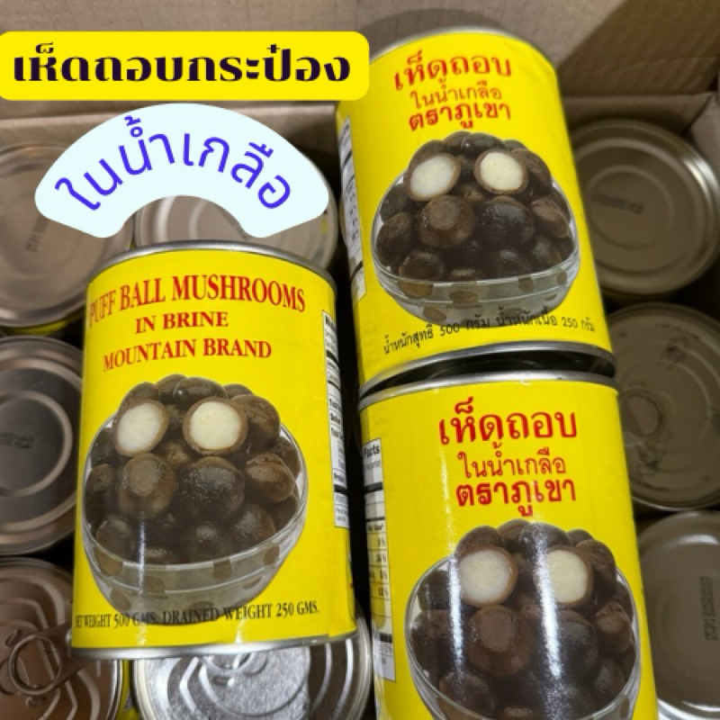 🍄เห็ดถอบเห็ดเผาะกระป๋องในน้ำเกลือ ‘🍄พร้อมส่ง  เหมือนธรรมชาติ ไม่ต้องรอถึงฤดูกาล มีให้ทานตลอดปี น้ำหนักเนื้อ 250 กรัม