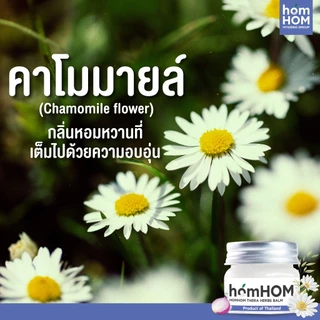 HomHom หอมหอม เทอรา เฮิร์บ บาล์ม 20 กรัม (ยูคาลิปตัส หอมแดง กลิ่นคาโมมายล์ โรสแมรี่)