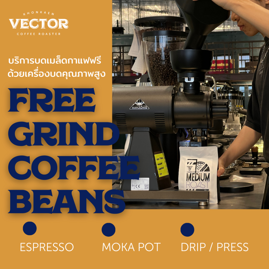 VECTOR : Brazil เมล็ดกาแฟคั่วกลาง สำหรับชงเอสเพรสโซ่ 200 กรัม ราคา ถูกที่สุด ดีลบีเคเค แกลเลอรีภาพที่ 3