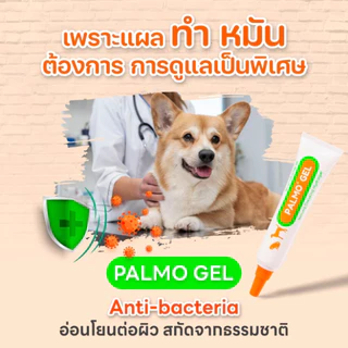 Palmo Gel พาลโมเจล เจลรักษาแผล สกัดจากธรรมชาติ ฆ่าเชื้อ ลดอักเสบ สำหรับสัตว์เลี้ยง