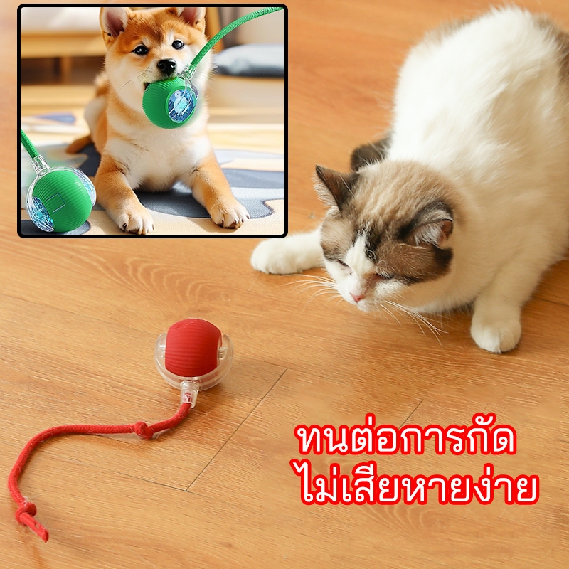 ลูกบอลแมว บอลแมวอัตโนมัติ ของเล่นแมว หมา สัตว์เลี้ยงลูกบอลสุนัข สมาร์ทไฟฟ้า หมุนได้ ของเล่นโต้ตอบ